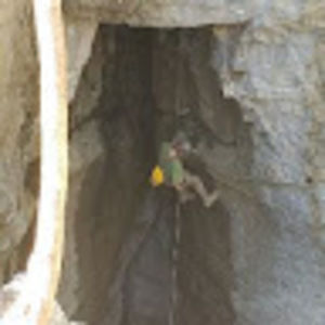 Meet your Posher, Bowen